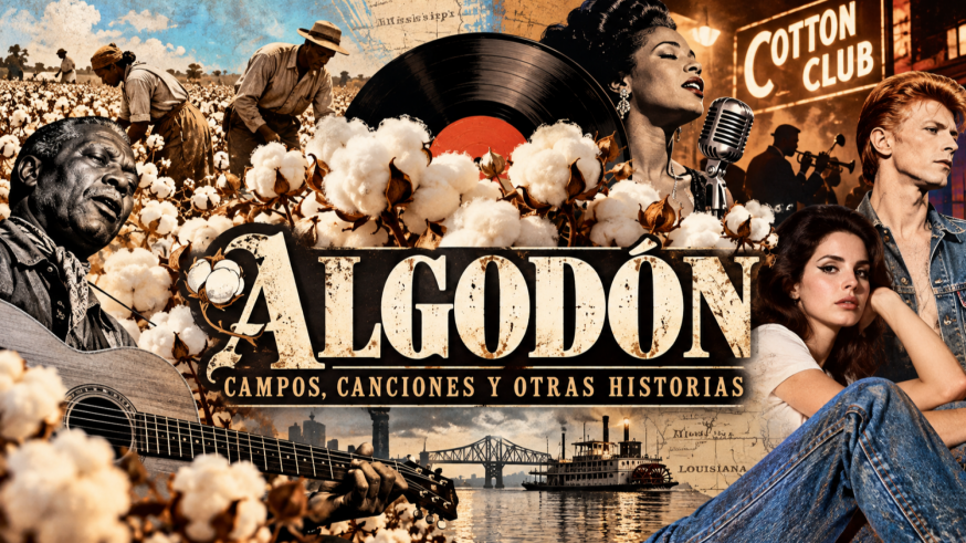 DÍA DEL ALGODÓN: DE LA PLANTACIÓN AL TOCADISCOS