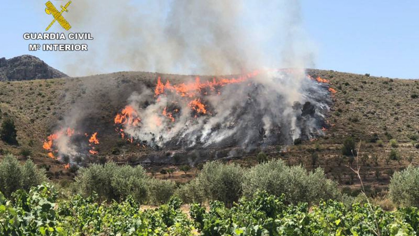 Incendio en el Cerro del Oro en Jumilla