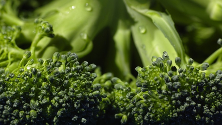 '+ Brócoli' impulsa una campaña para fomentar el consumo de esta verdura en España