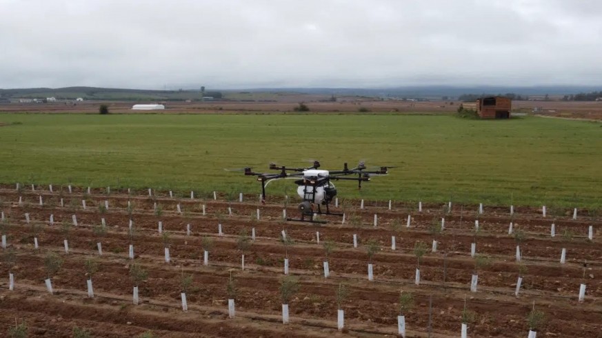 Uno de los drones de Baltor sobre un campo de olivos. CEDIDA