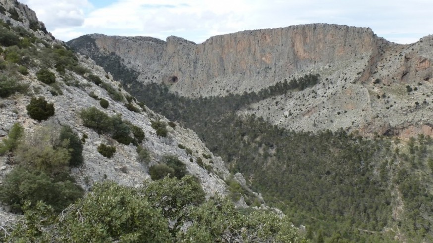 Conociendo Sierra Espuña. Una ruta para ver la acedera en Espuña