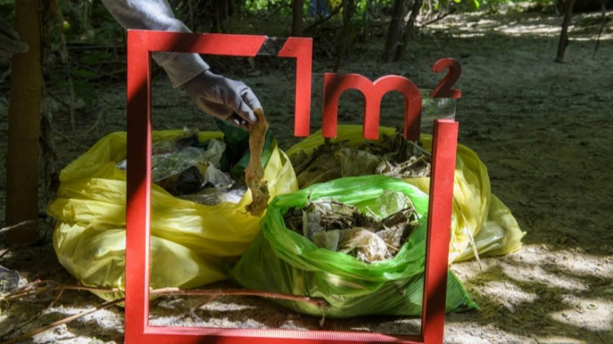 Más de 500 personas han recogido basura en 34 parajes de la Región