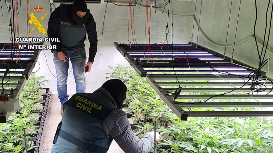 Desmantelan en Sangonera la Seca un invernadero clandestino de marihuana oculto bajo una vivienda