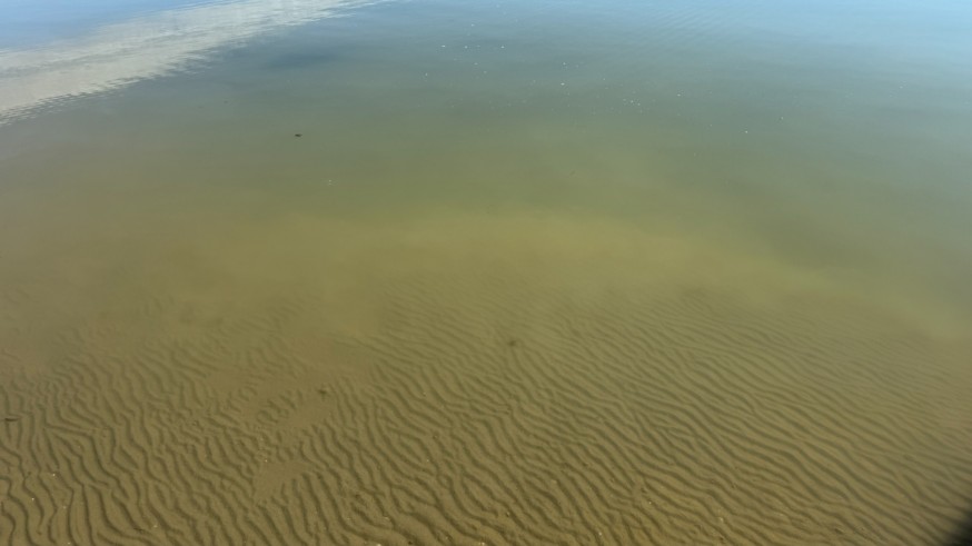 Disminuye la clorofila en el Mar Menor, pero se mantienen las condiciones anóxicas