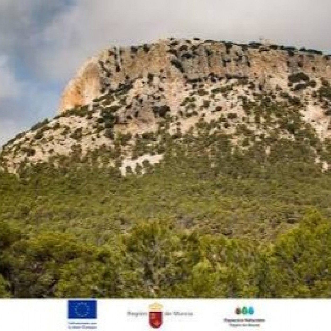 Portada de EL MIRADOR