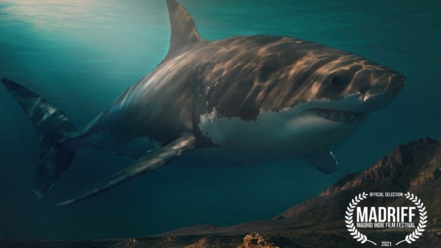EL ROMPEOLAS. El tiburón blanco, protagonista de un documental aguileño