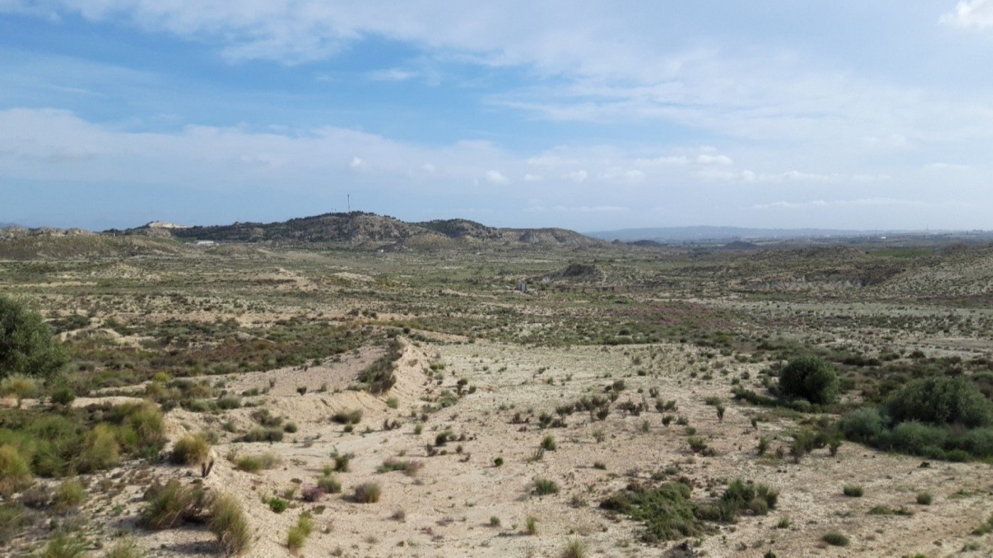 La Comunidad adquiere terrenos en Aljauque y Rambla Salada para restaurar hábitats naturales