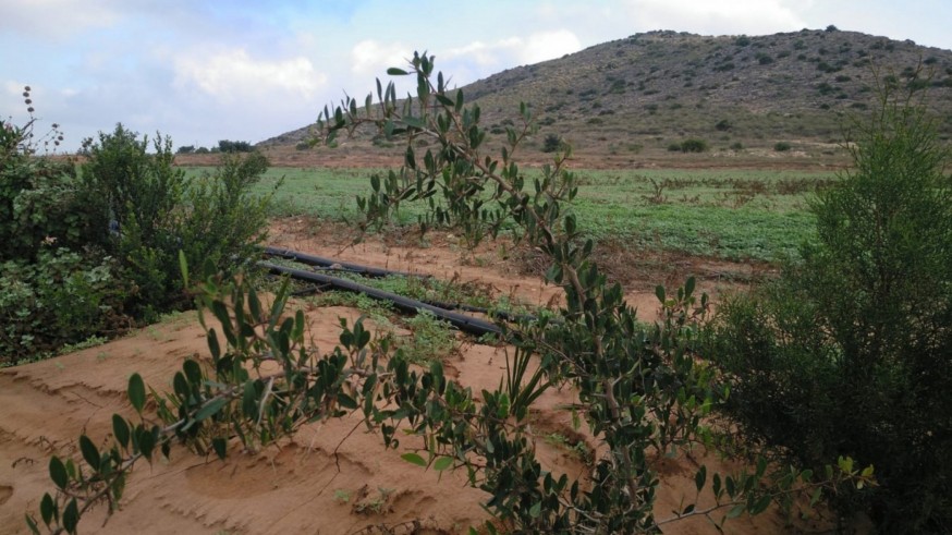 Los regantes de Arco Sur, en Cartagena, pendientes del proyecto de nuevo emisario de Cala Reona