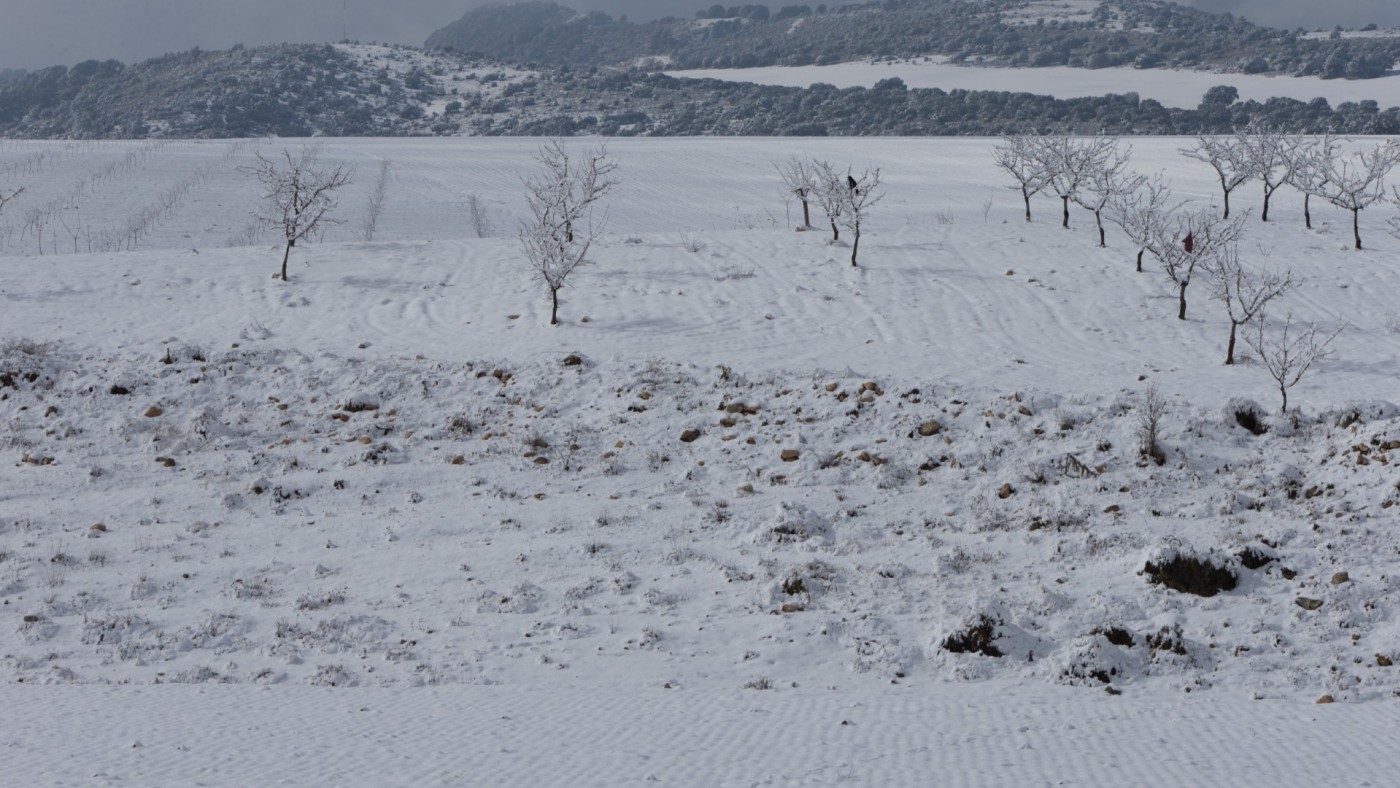 La AEMET activa avisos por nieve y fenómenos costeros este viernes en la Región de Murcia