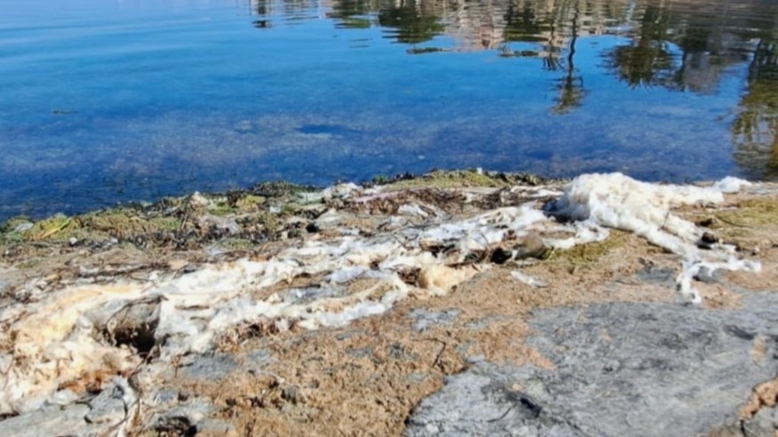 'Pacto por el Mar Menor' califica de "alarmante" la presencia de plásticos en la laguna