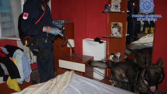 Un agente con un perro inspecciona uno de los pisos utilizados por los narcotraficantes. POLICÍA NACIONAL