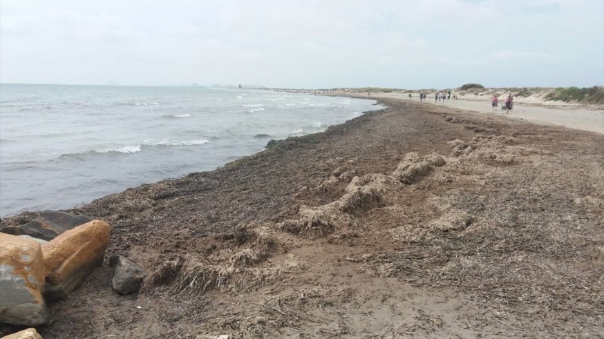 El BOE publica el visto bueno ambiental al acondicionamiento de la playa de La Llana