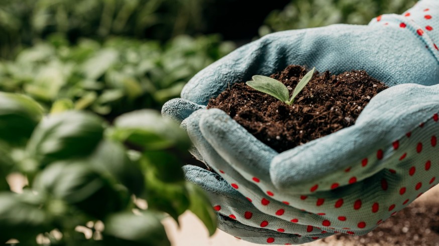 Murcia supera el objetivo fijado de la agricultura ecológica para 2030