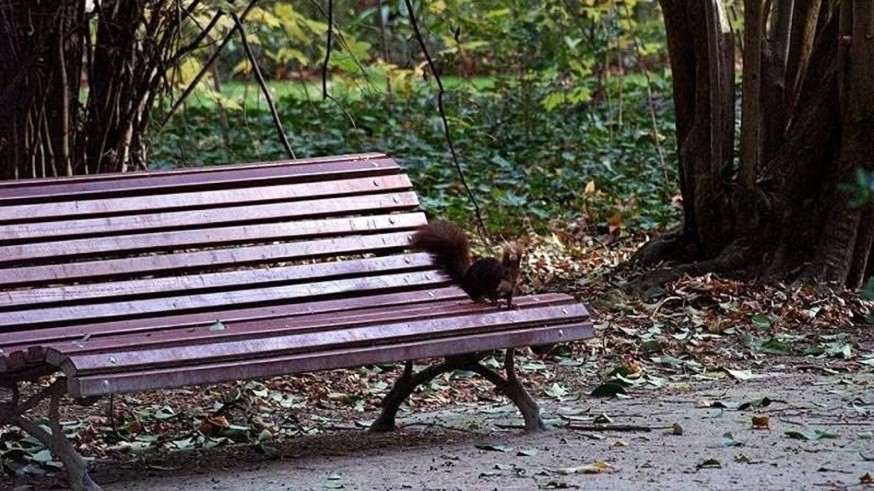 Trashumantes. Con la fotoperiodista Rocío Periago hablamos de parques, jardines y espacios verdes en las ciudades y sus zonas infantiles de juego
