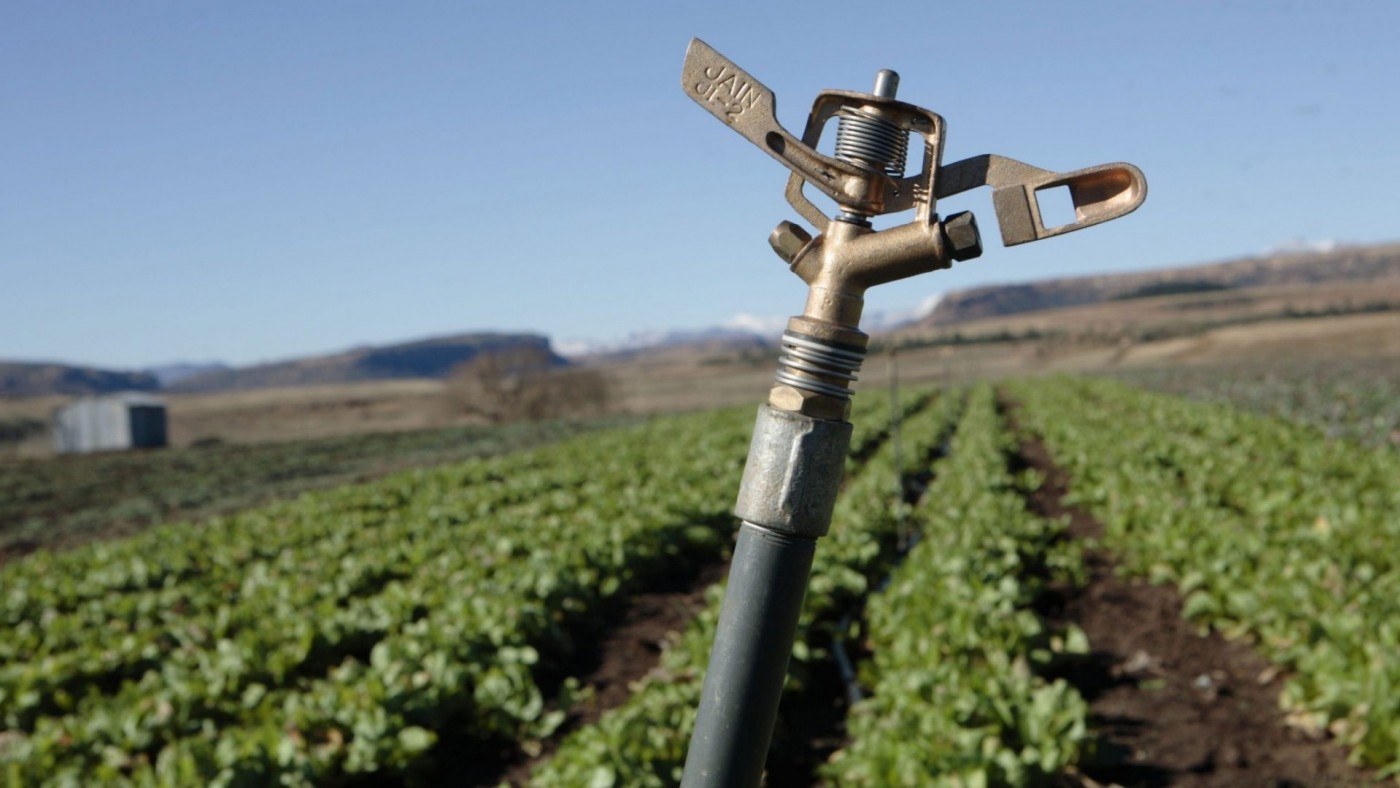 La huella hídrica de las exportaciones agrícolas duplica al consumo de los hogares españoles en 2024