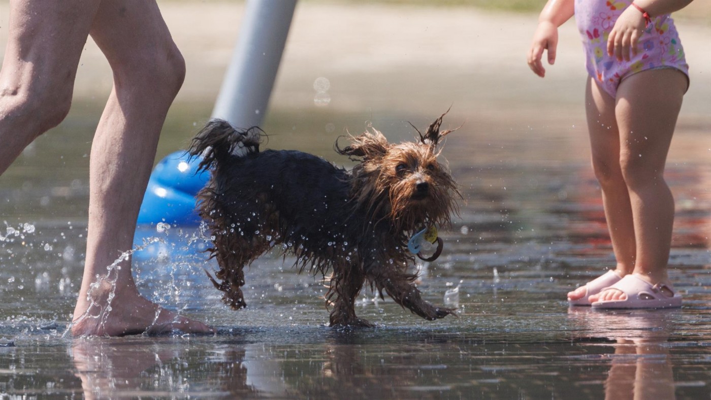 Una veintena de provincias estarán en riesgo por altas temperaturas en este domingo que dará paso a otra ola de calor
