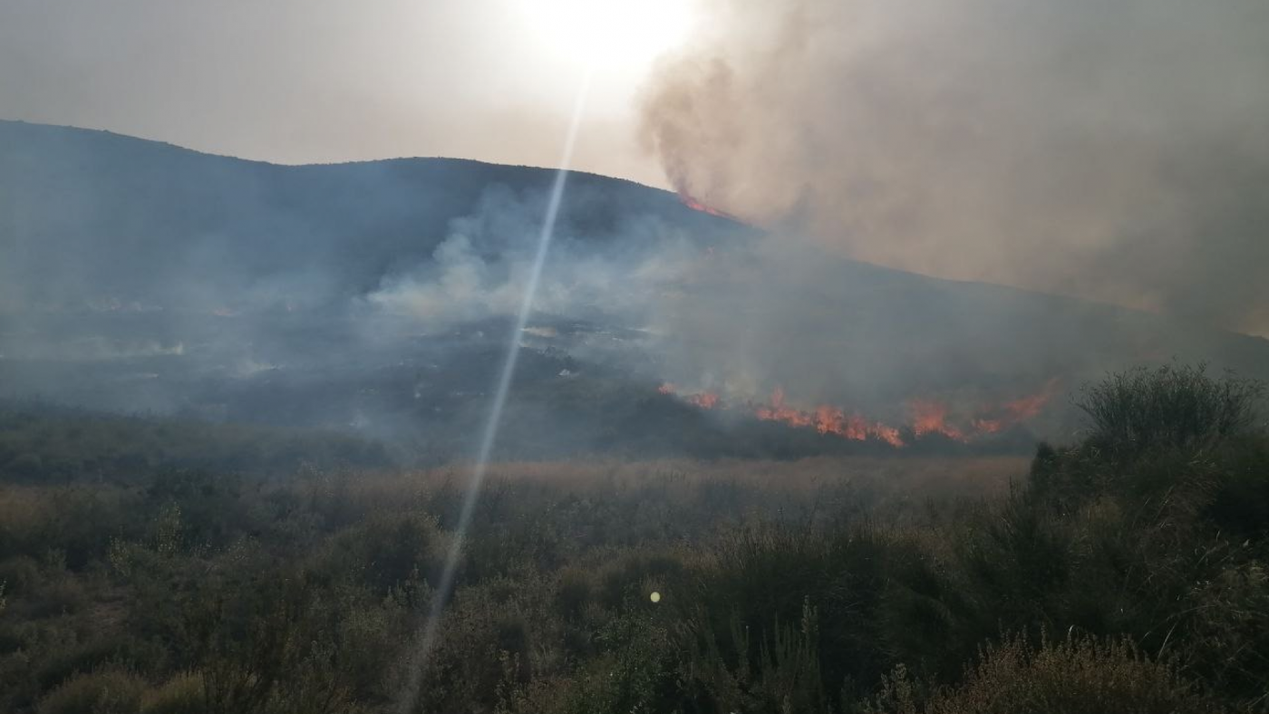Imagen del incendio en Fuente Álamo