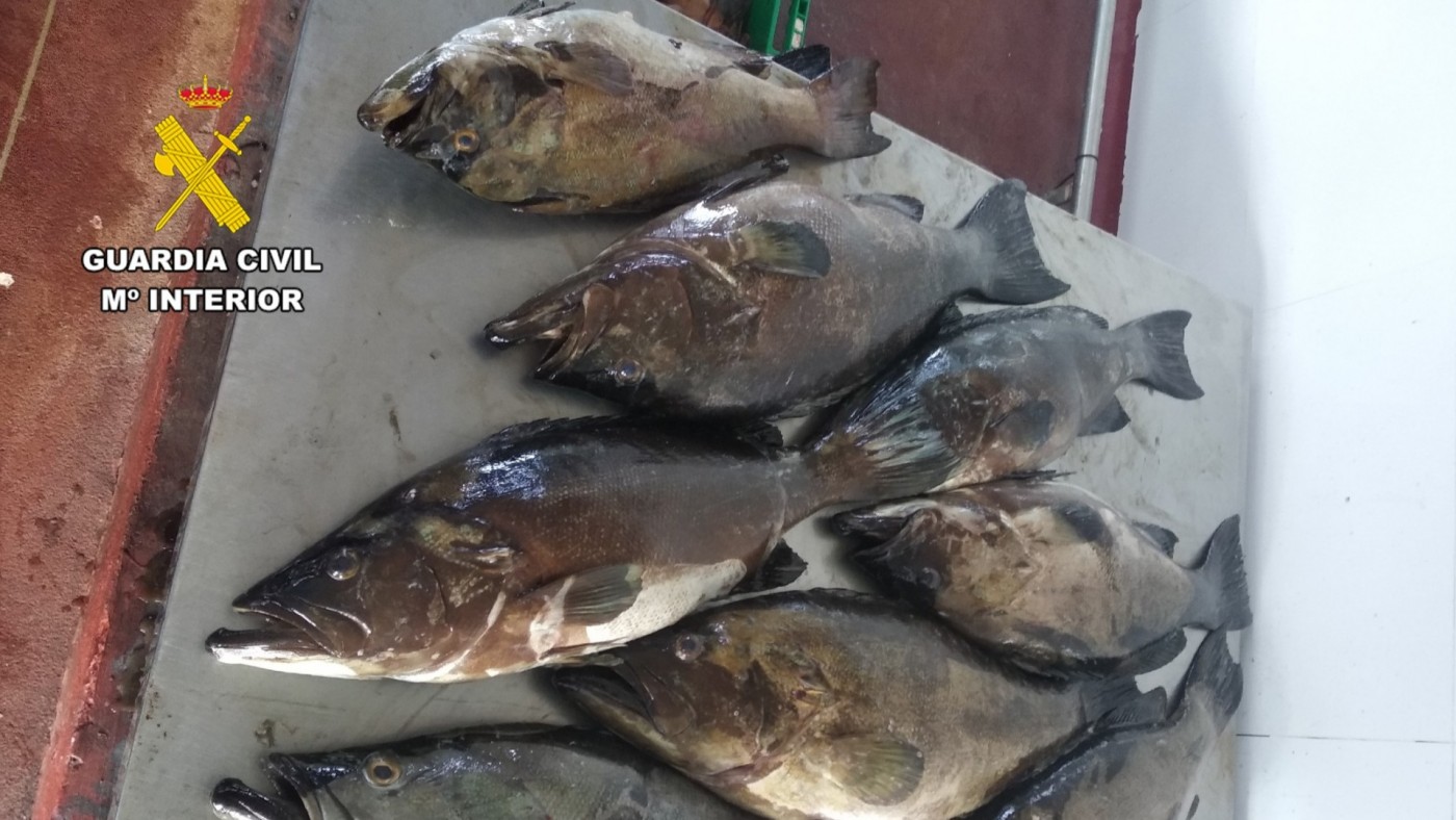 Cuatro detenidos en Los Nietos con casi 300 kilos de pescado capturado de forma ilegal