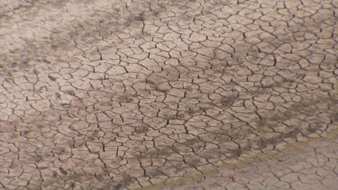 Las ayudas aprobadas para hacer frente a la sequía en la Región, todas financiadas por el Gobierno central