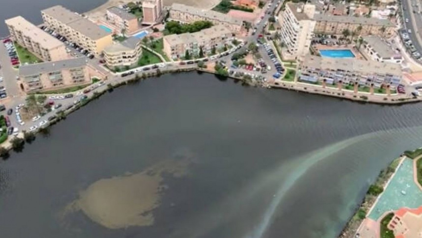 Descienden un 40% las capturas de pescado en el Mar Menor desde la anoxia del pasado verano