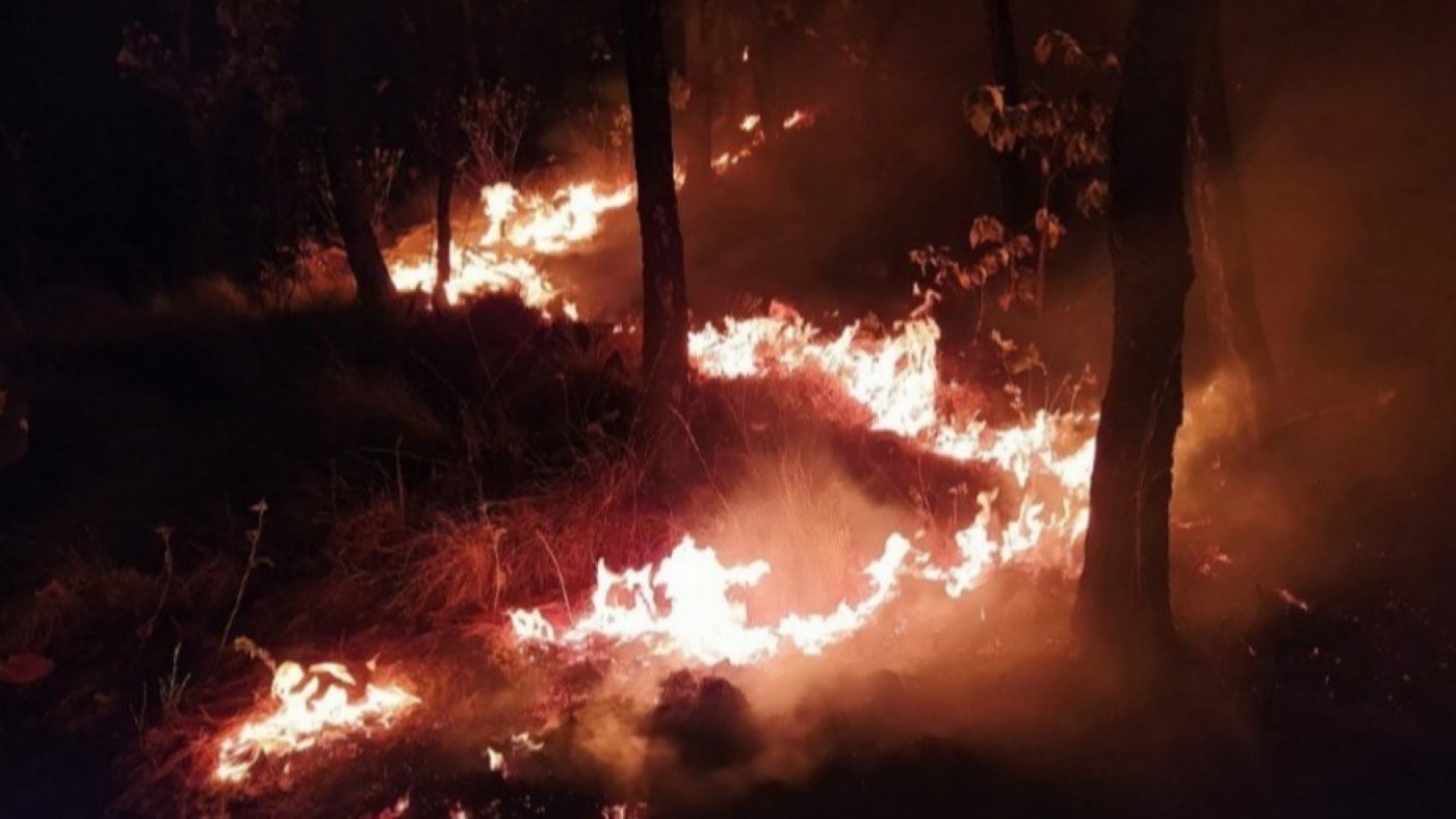 La mala gestión del suelo y la sequía están detrás de los incendios que afectan al Mediterráneo 