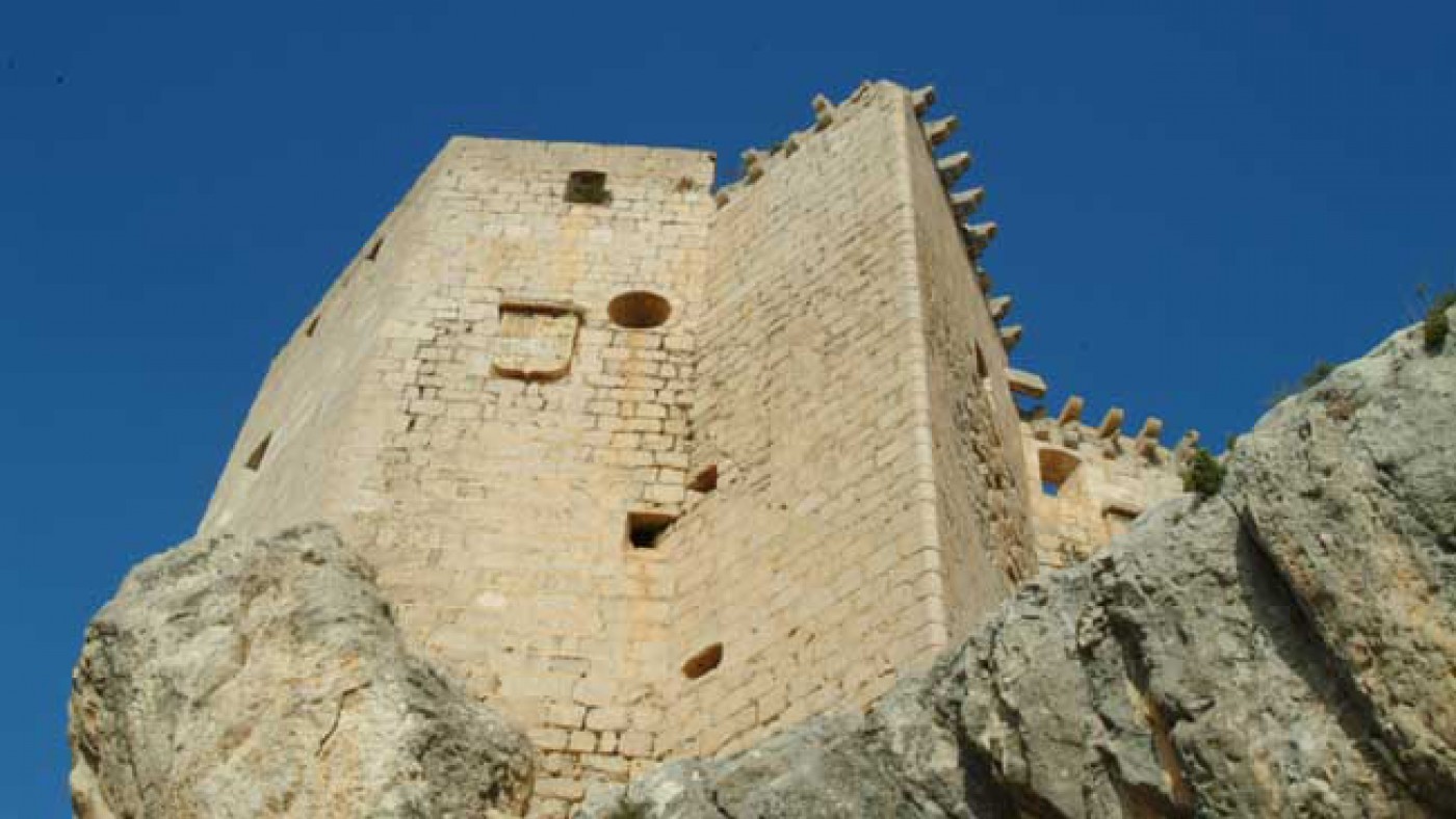 Imagen del Castillo de Mula.