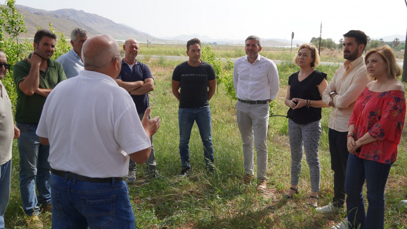 El PP exige al Gobierno ayudas urgentes para los agricultores afectados por el granizo en la Región de Murcia