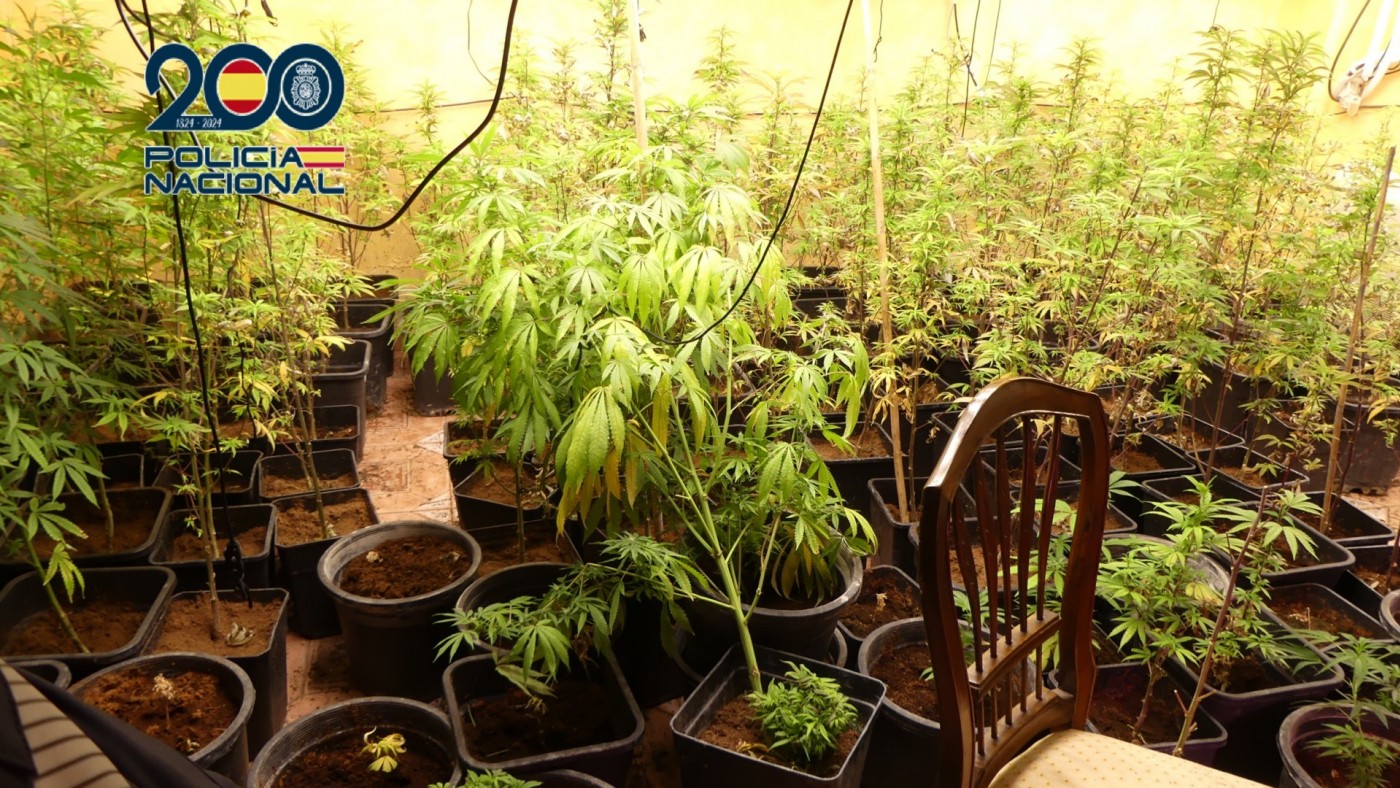 Ocho detenidos por dos ‘vuelcos’ de drogas con tiroteos en Molina de Segura