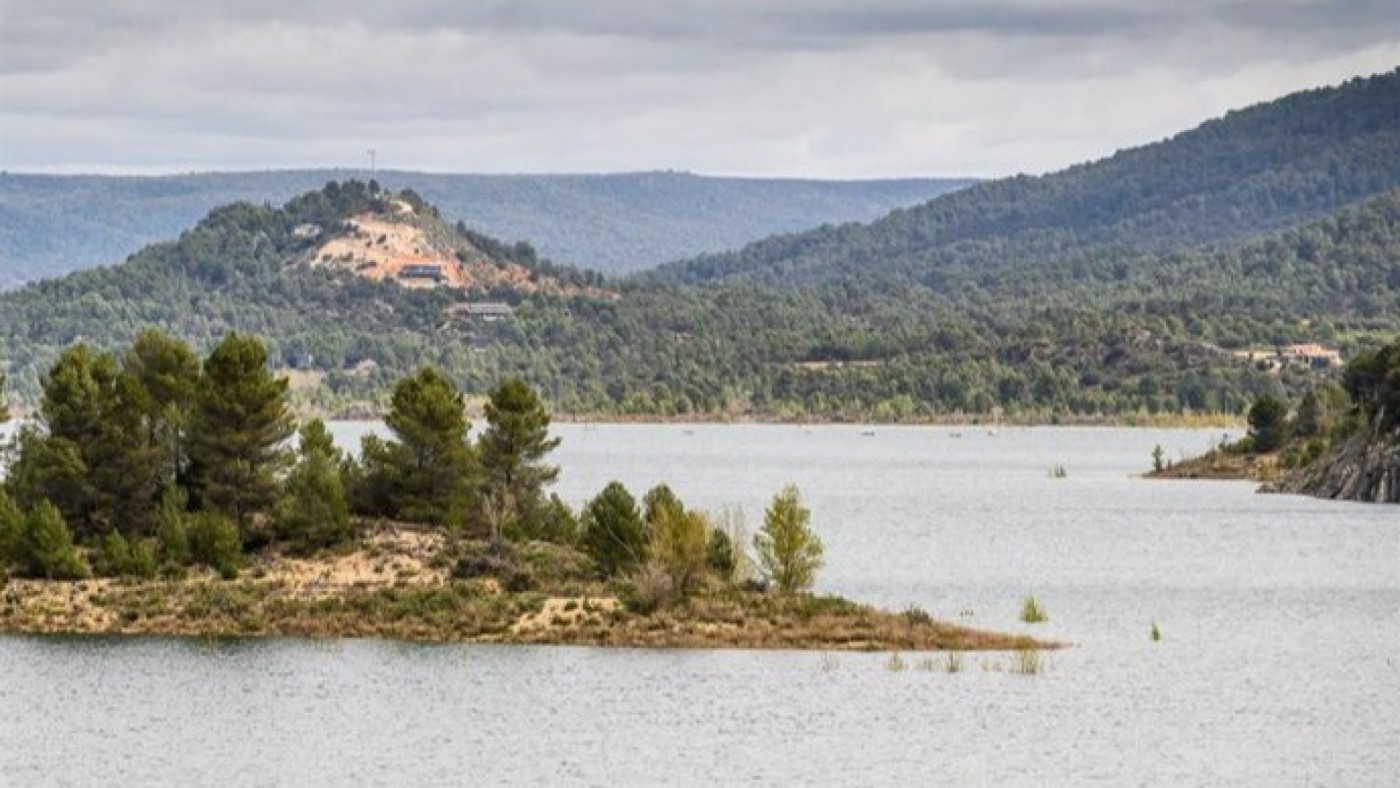 El cierre de la conexión entre Entrepeñas y Buendía deja a miles de carpas atrapadas