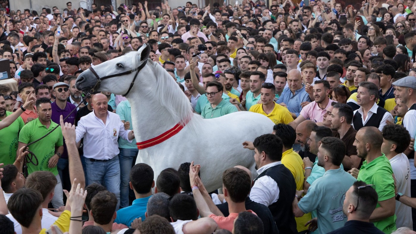 Hoy es el gran día de los Caballos del Vino de Caravaca