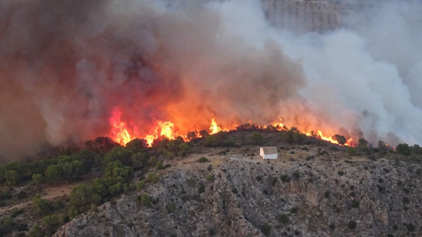 La vegetación combustible, el objetivo número uno contra los incendios 