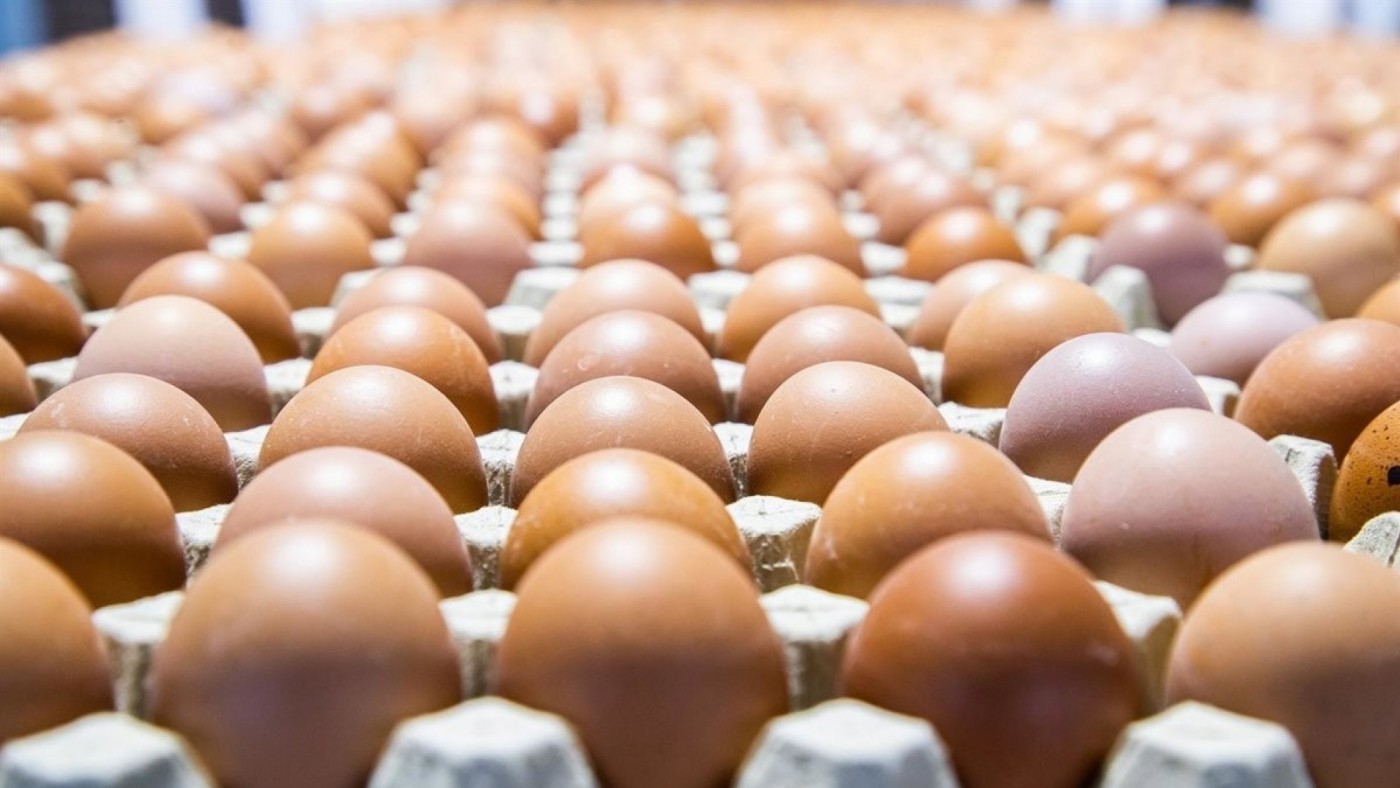 Comprar huevos es un 30% más caro que hace un año