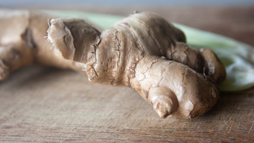 La Magia de las Plantas, con Diego Rivera. Afecciones de garganta