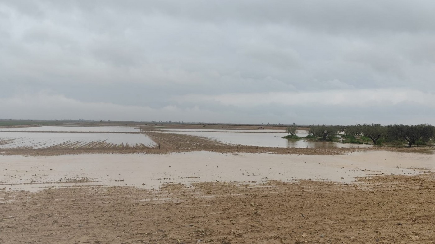 Las lluvias paralizan la actividad en el campo