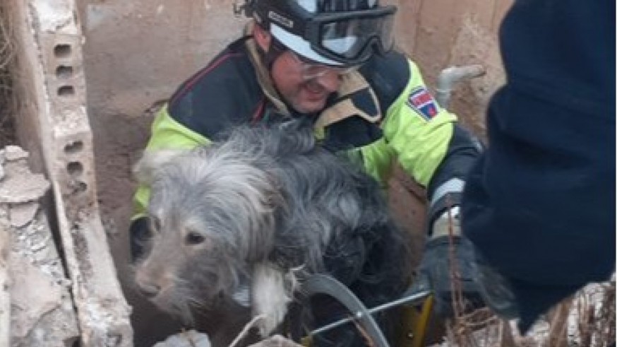 Rescatan a un perro de un aljibe de 4 metros de profundidad en Ifre-Pastrana (Mazarrón)