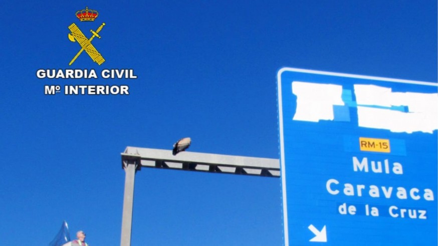 Rescatan un ejemplar de buitre leonado que llevaba tres días en un cartel de la autovía A-30 