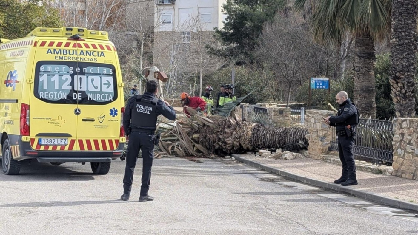 El 112 atiende más de 300 llamadas relacionadas con el viento