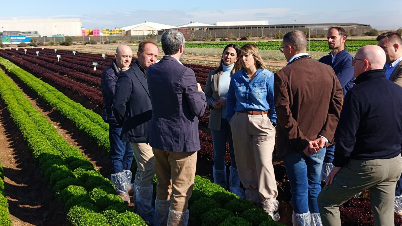 La investigación en la Región permite registrar 29 nuevas variedades de frutas en una década
