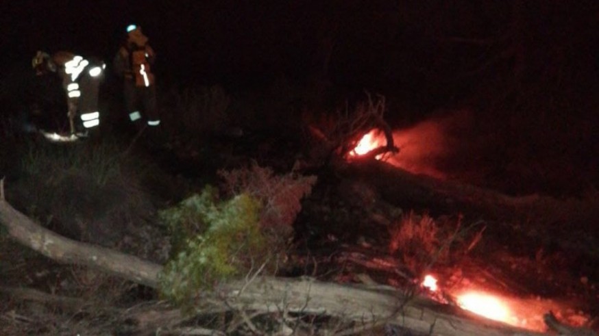 Extinguido el incendio forestal de Yecla