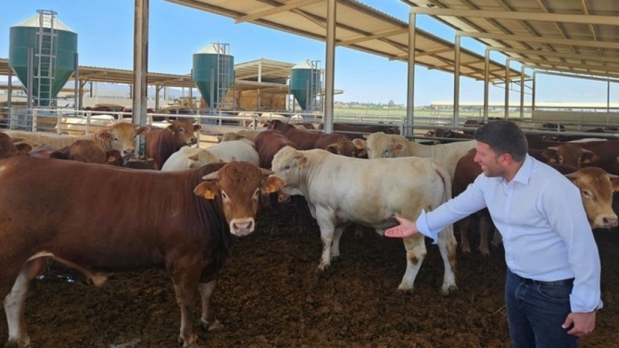 'Shamonda', la enfermedad que puede haberse colado en las granjas de forma silenciosa