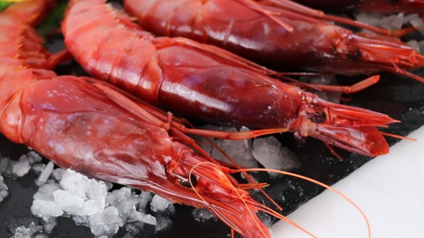 Los pescadores de la Región de Murcia podrán capturar 13 toneladas menos de gamba roja