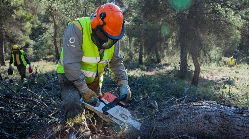La Comunidad ha actuado en más de 11.400 hectáreas de monte para combatir los efectos de la sequía