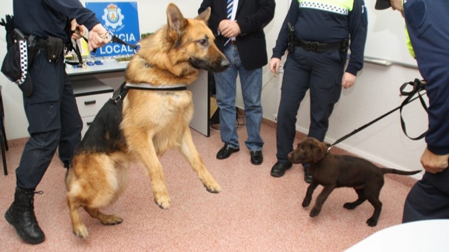 II Jornada de exhibición de unidades caninas de Policía en Cieza