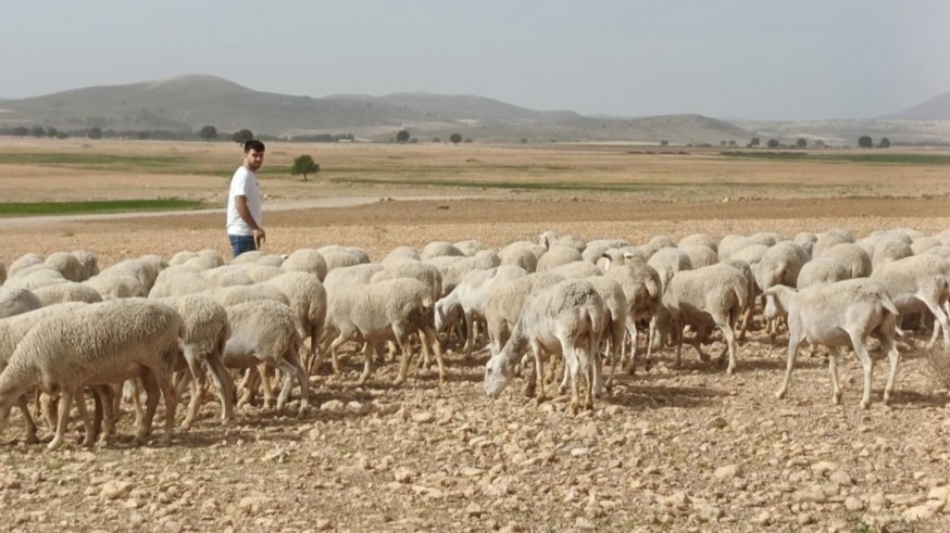 COAG, ASAJA y UPA participarán en la manifestación del campo europeo que tendrá lugar este jueves 18 de diciembre en Bruselas 