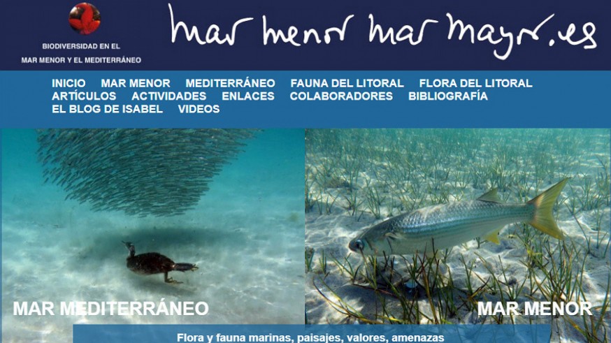 TE DOY LA TARDE. Web con la información diaria del estado del Mar Menor