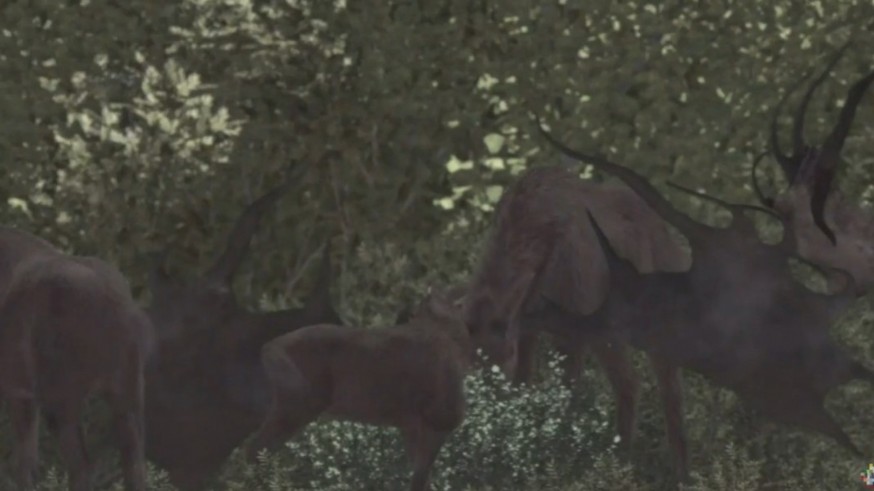 Raticos arqueológicos con María Haber. Animales del pleistoceno