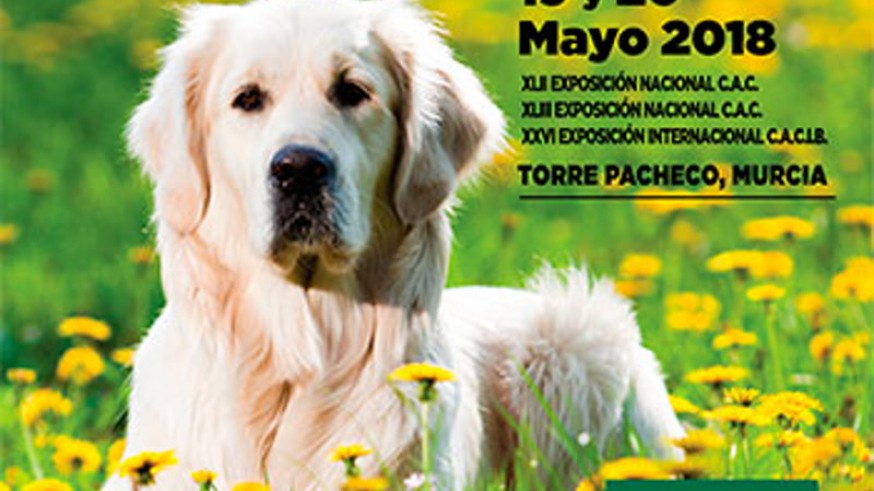 Cartel de la Exposición Internacional Canina de IFEPA 2018