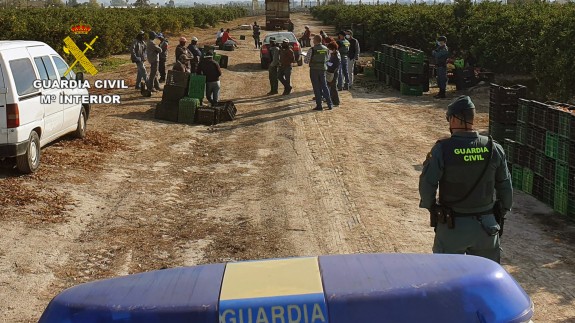 Inspección de la Guardia Civil en una explotación agrícola de la Región