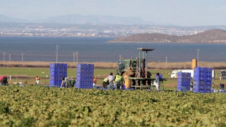 Los sindicatos exigen aplicar la reforma laboral al convenio agrícola, que afecta a 25.000 personas