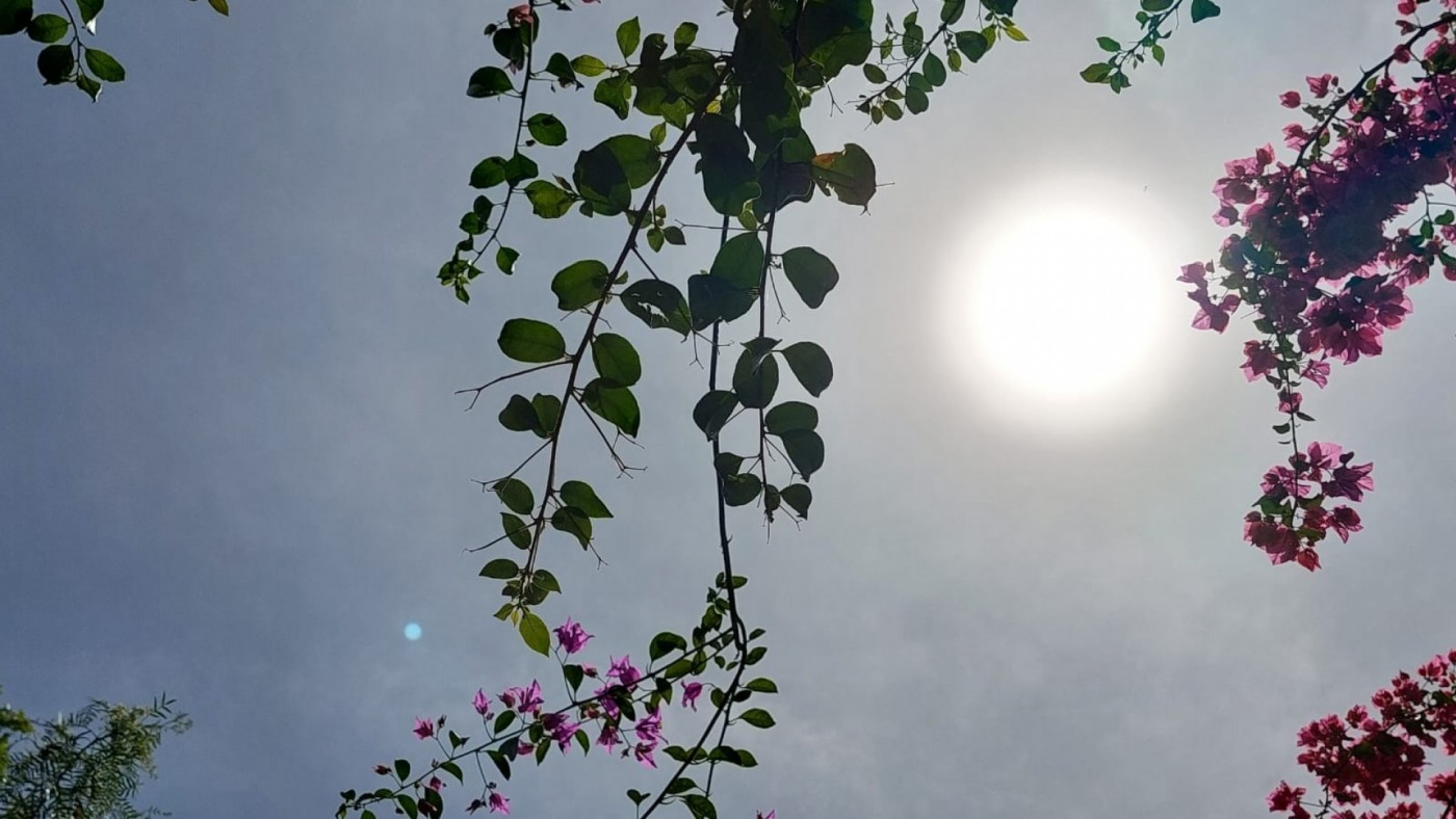 La segunda ola de calor llega a la Región durante el próximo fin de semana
